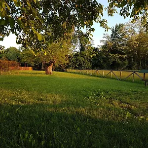 Veneta 3*, Vicenza Italia